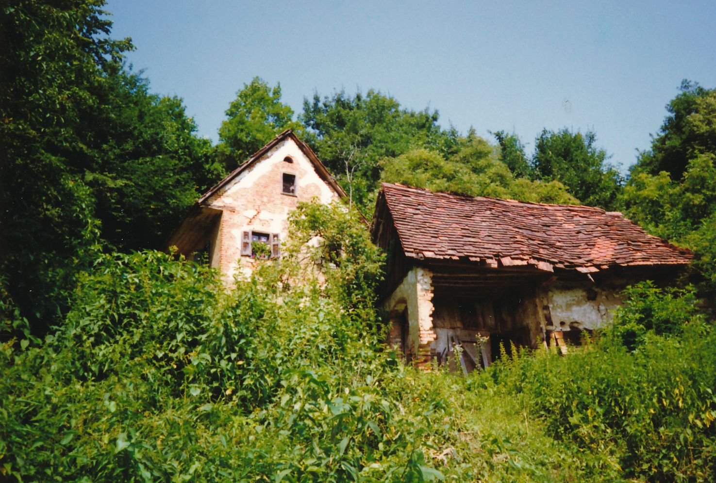 eika image